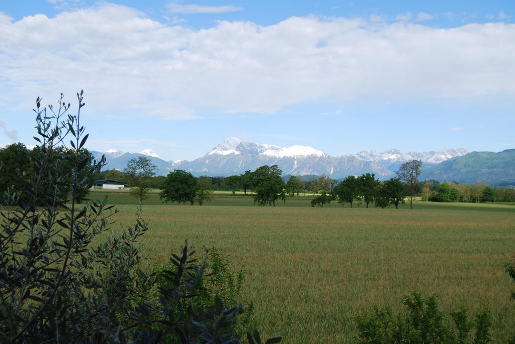 Antico Borgo Panzió San Daniele del Friuli Kültér fotó